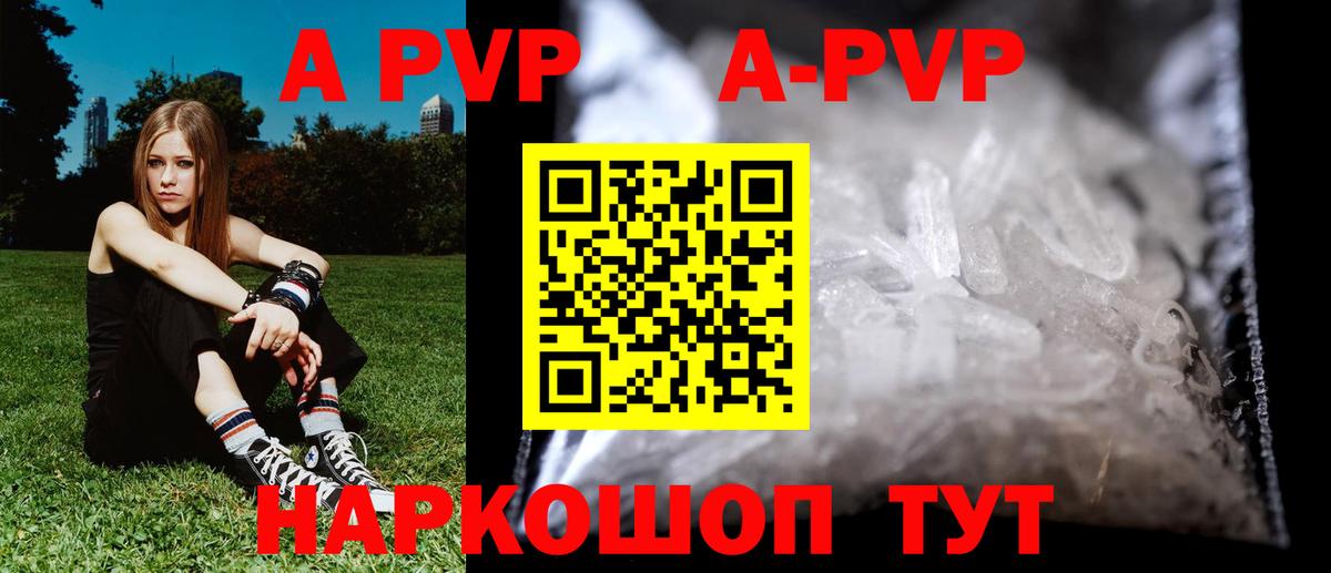 A PVP СК КРИС Тара