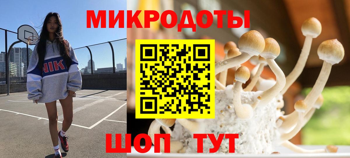 Галлюциногенные грибы мухоморы Тара